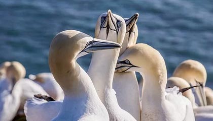 开云体育APP下载-曼联挣扎不堪，降级危机悄然袭来，曼联如何