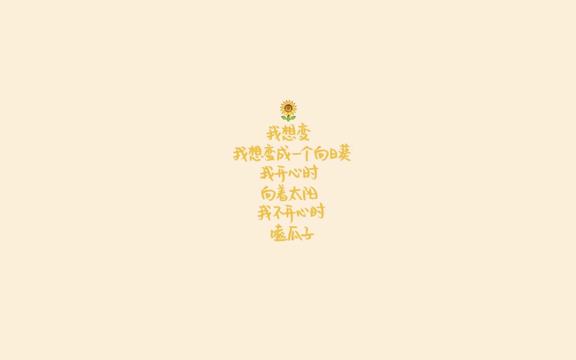 _凯尔特人战绩火热，追逐冠军梦_，凯尔特人赢了吗