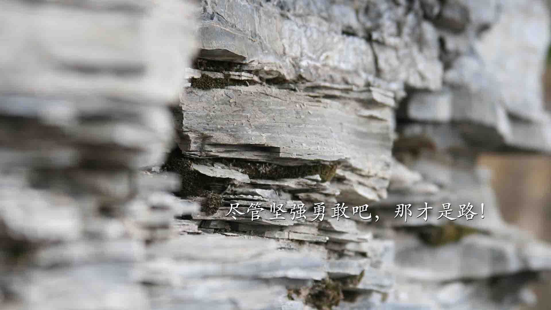 “法甲赛场出现逆转奇迹，场面震撼”，法甲赛制介绍