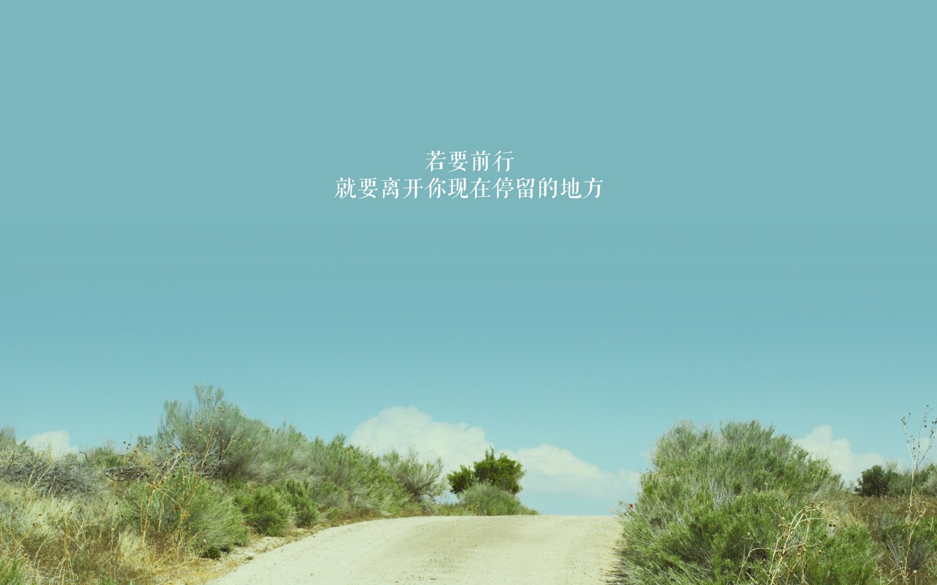 本土篮球明星即将在国际比赛中大放异彩，篮球明星,中国