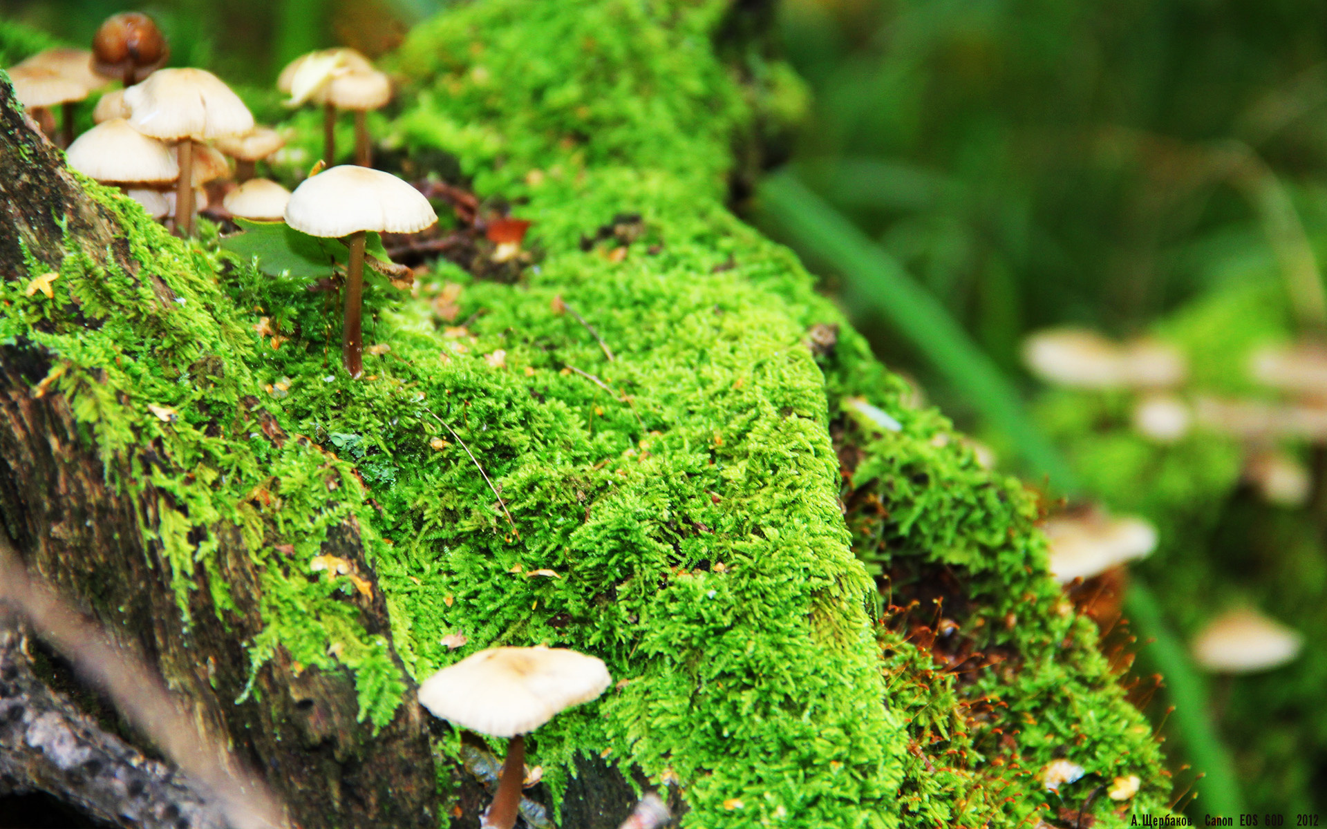 费城76人目标冲击东部冠军，季后赛火热开战！，费城76人是东部还是西部