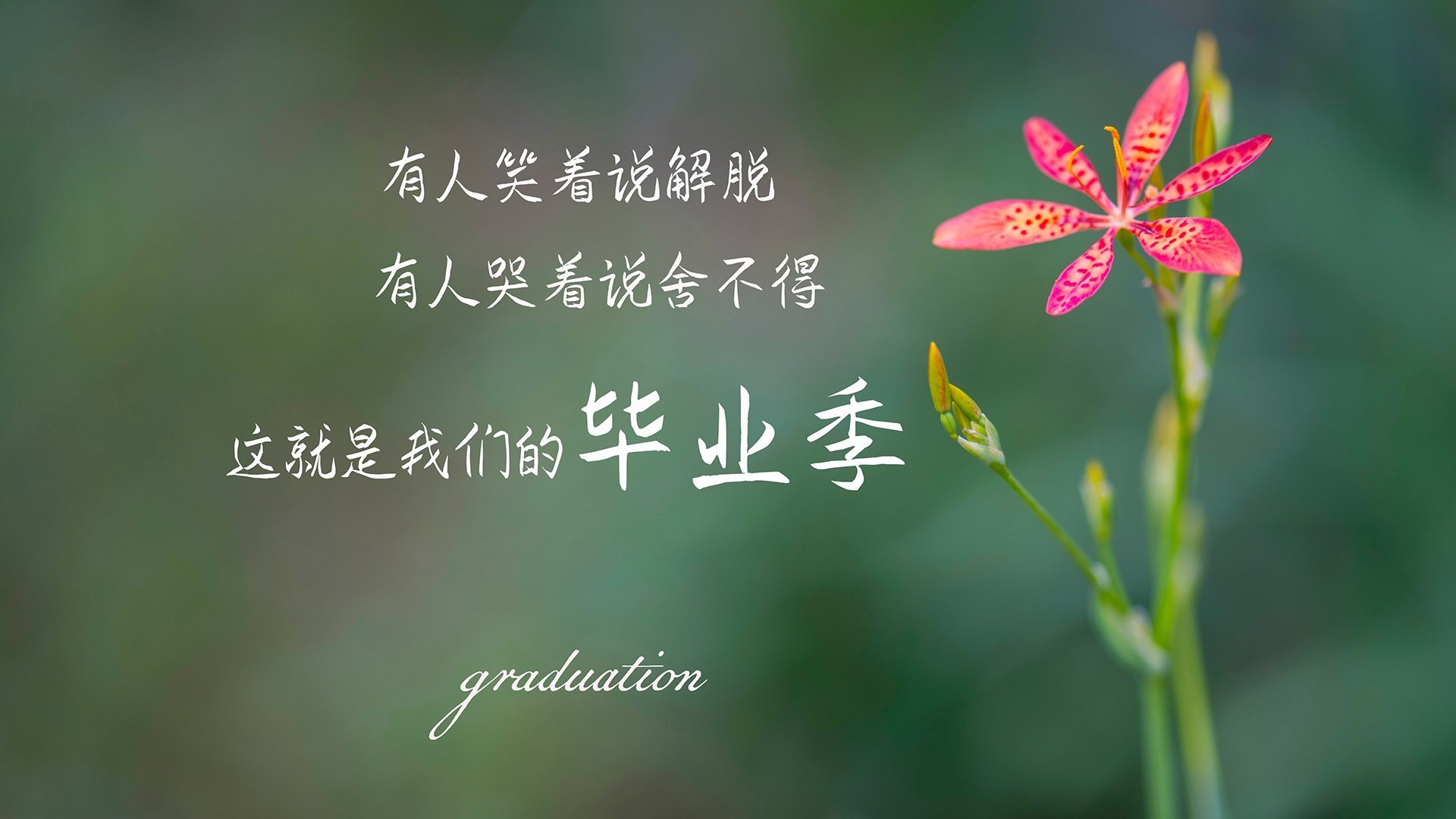 KPL赛事全面引入AI战术分析系统，kplat