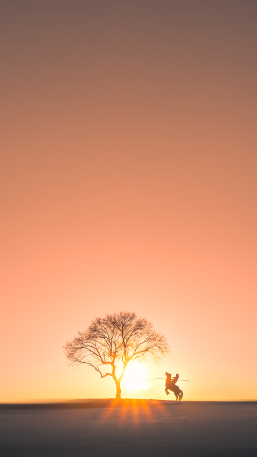 开云入口-加拿大队势不可挡，被热捧为夺冠热门，加拿大战队