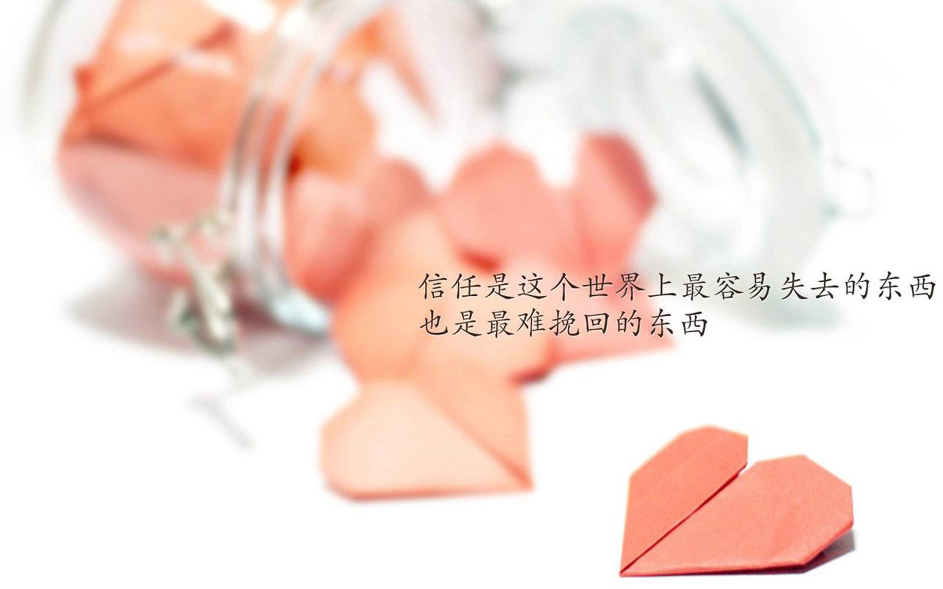 最大：萨尔茨堡艰难胜出，继续欧冠征程！，欧冠萨尔茨堡vs里尔