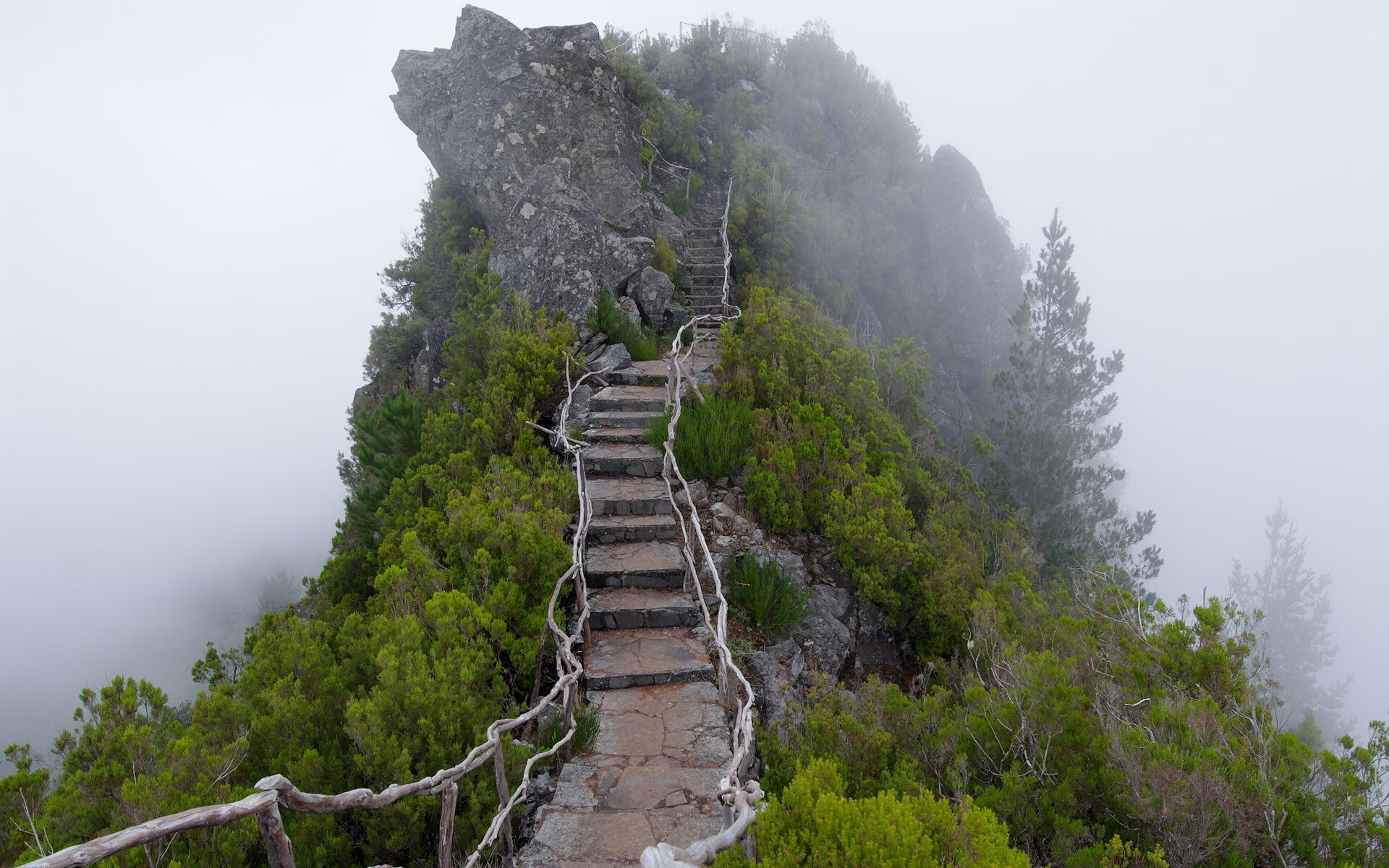 热火大胜太阳，常规赛巅峰对决中巴特勒三分雨不断，热火队巴特勒