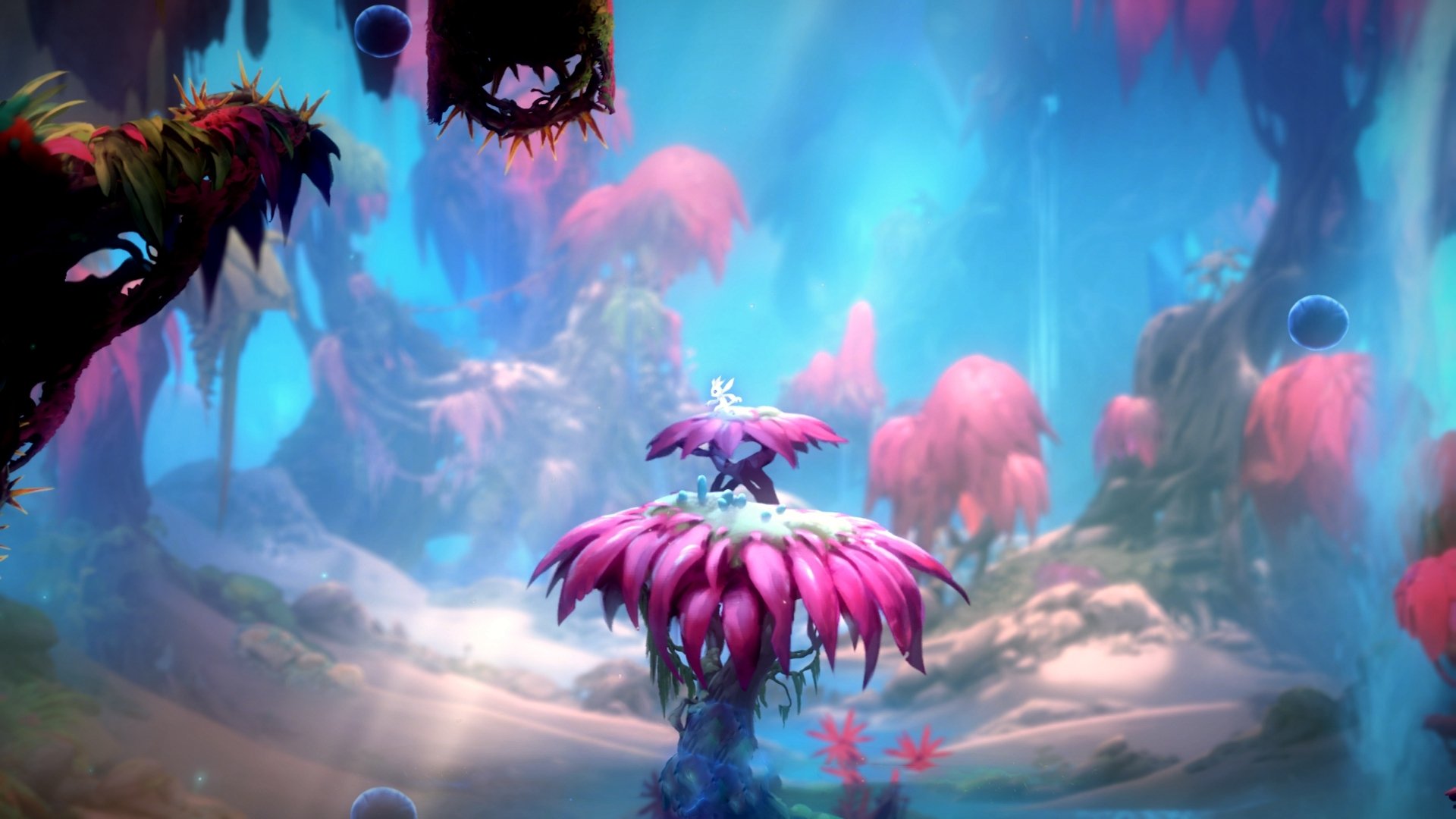 KAIYUN 中国大陆-爵士逐渐回暖击败黄蜂，爵士和大黄蜂谁厉害