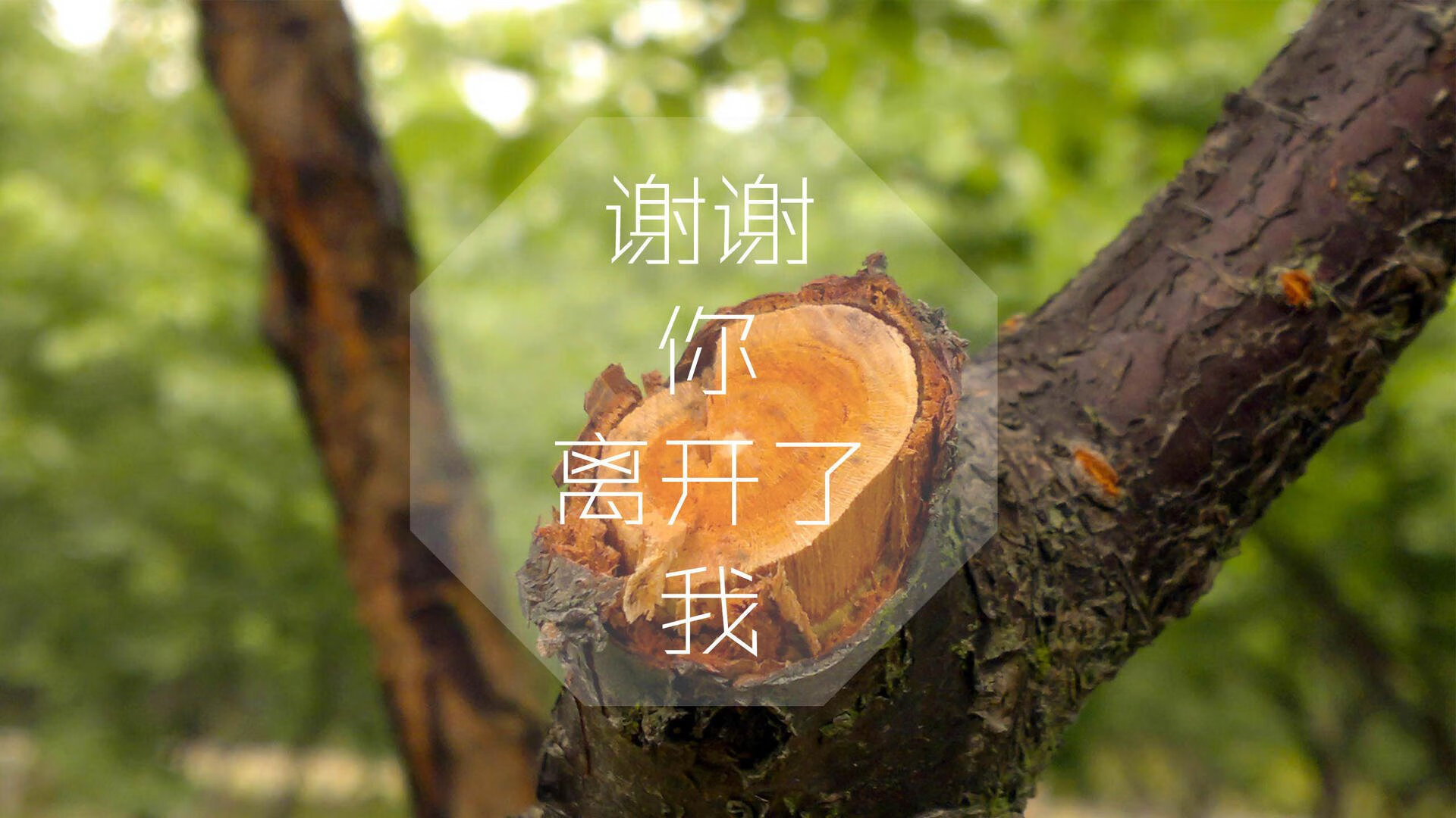 中国篮球教练团队协作模式创新探索，中国篮球教练培训