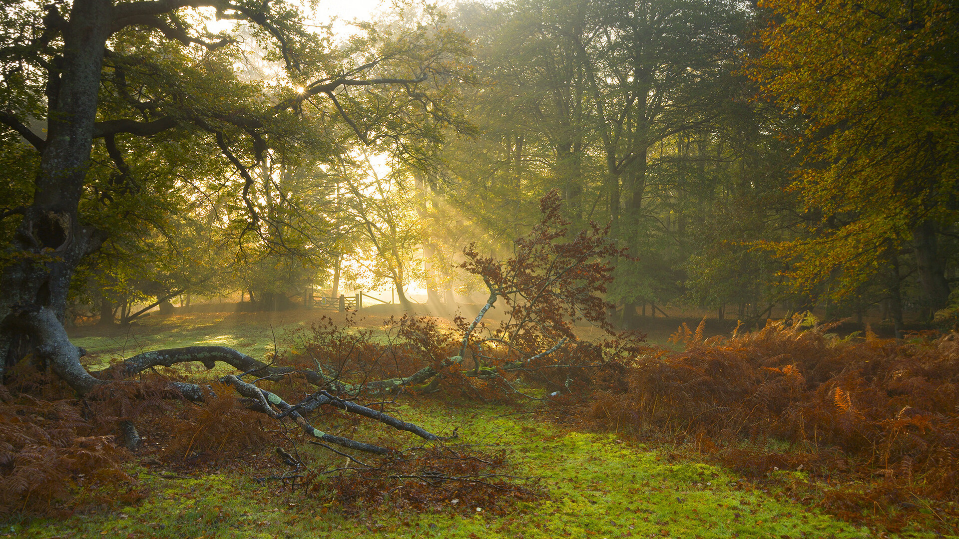 Kaiyun(中国)开云-加的斯门将多次神扑力保球门不失，加的斯升上西甲