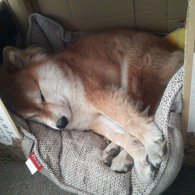 快攻中第一步启动的重要性解析，快攻都是由发动与接应推进结束三个阶段组成