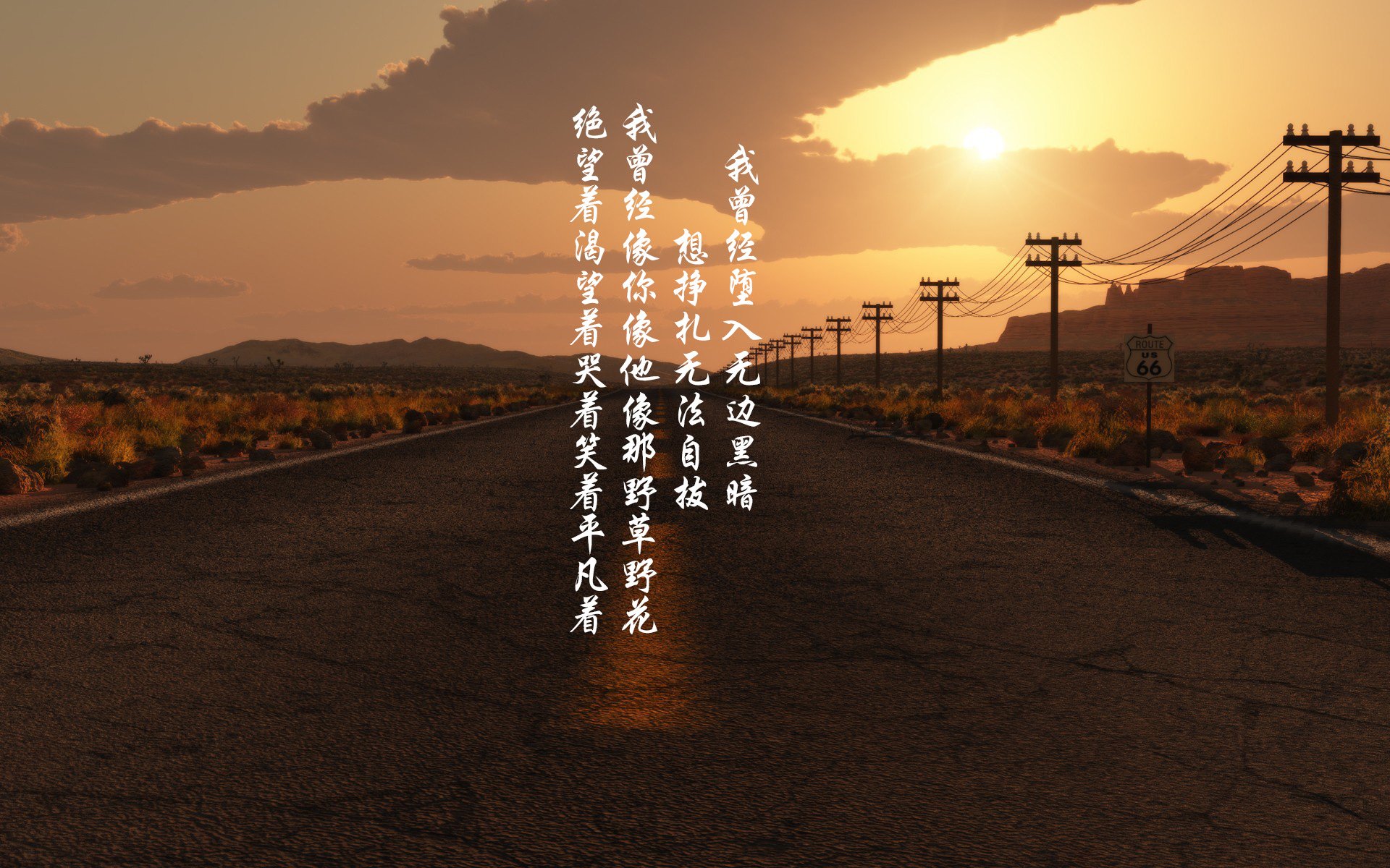 开云平台-南非橄榄球赛事转播权价值不断攀升，英式橄榄球南非队