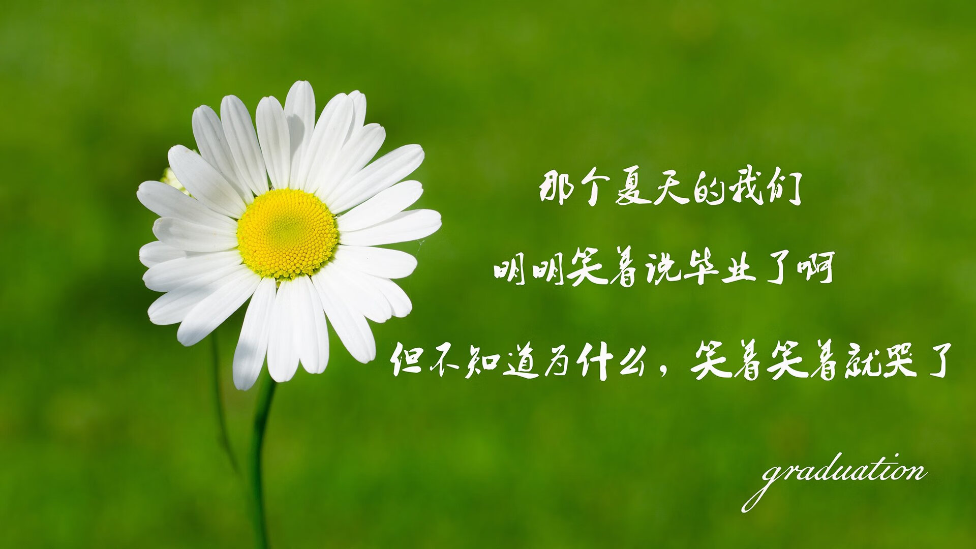 塔图姆带队逆转凯尔特人东部前四稳固，塔图姆和凯尔特人合同
