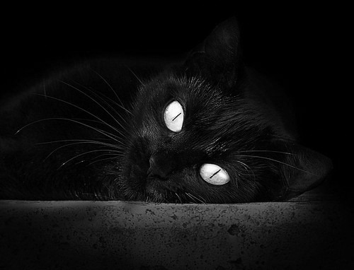 Kaiyun APP-希腊女篮在欧洲锦标赛中奋夺冠军，荣耀永不止步，希腊女子篮球比赛直播