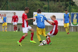 开云·体育官网APP下载-意甲节奏之王：快速反击碾压对手，意甲开场曲叫什么名