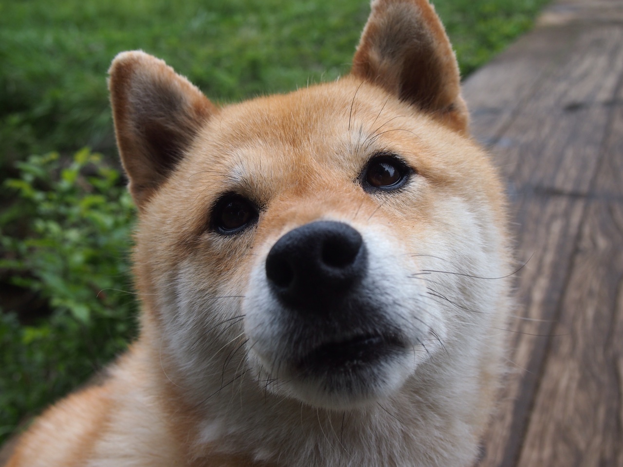 开云网站-重要比赛转播创新，增强虚拟互动体验，转播比赛需要版权吗