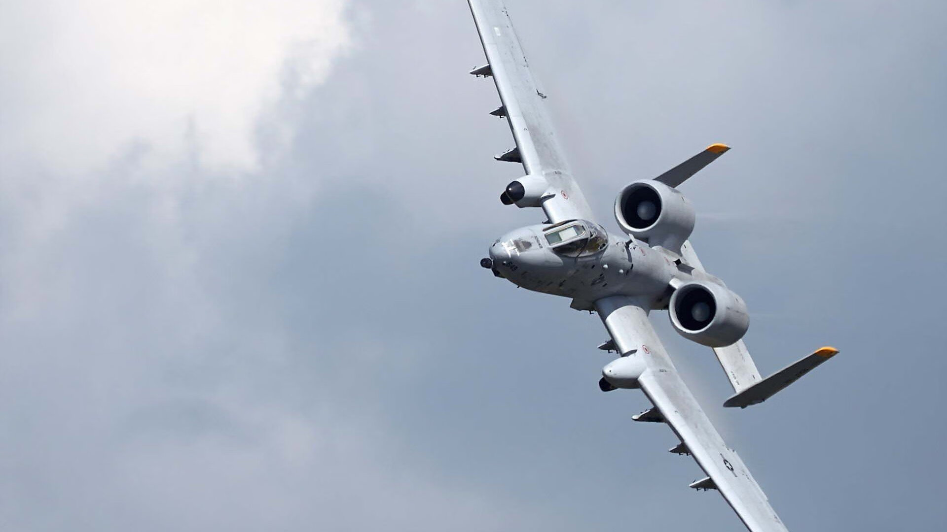 开云·体育官网-鹈鹕训练营引入虚拟战术模拟系统，鹈鹕天赋满满